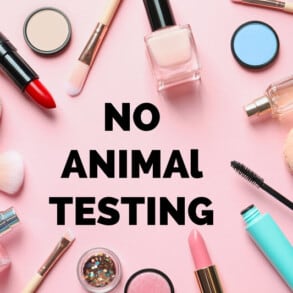 Cosmetic products and text NO ANIMAL TESTING on pink background