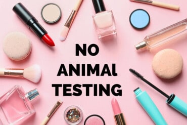 Cosmetic products and text NO ANIMAL TESTING on pink background