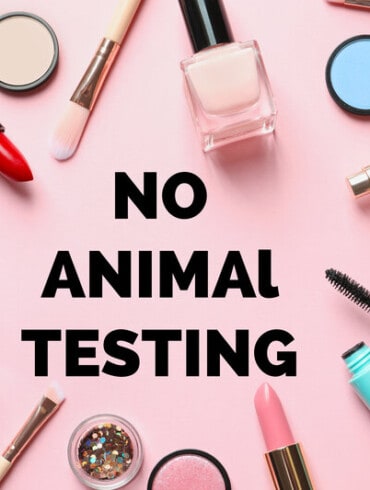 Cosmetic products and text NO ANIMAL TESTING on pink background