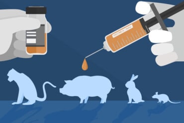 Animal testing graphic with a syringe held by hands in the foreground