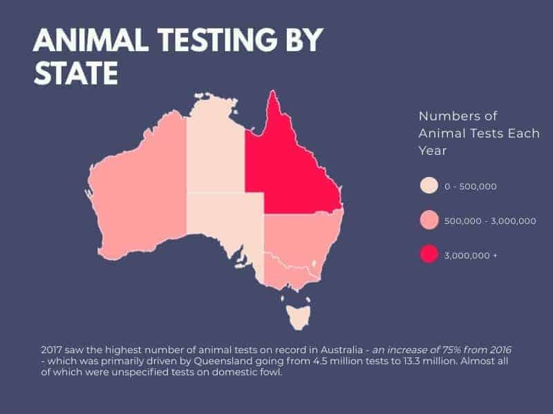 Animal Testing by Australian State